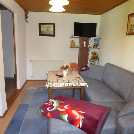 Apartment Terrassen-retreat In Sachsen, Cleaning Included