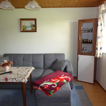 Apartment Terrassen-retreat In Sachsen, Cleaning Included