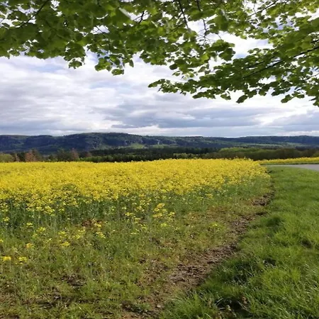 Terrassen-retreat In Sachsen, Cleaning Included Apartment Lichtenhain (Sebnitz)