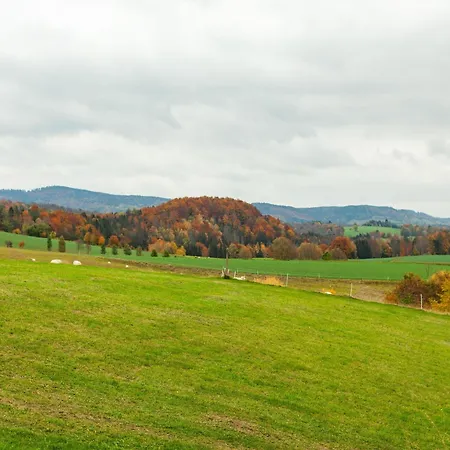 Terrassen-retreat In Sachsen, Cleaning Included Apartment